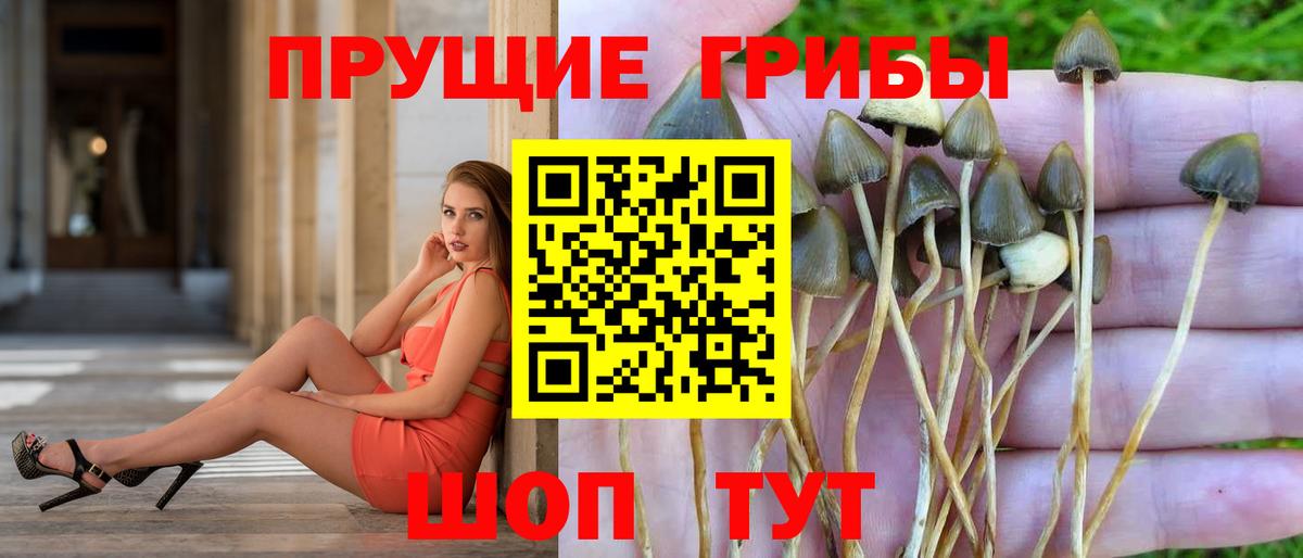 Галлюциногенные грибы ЛСД Грозный