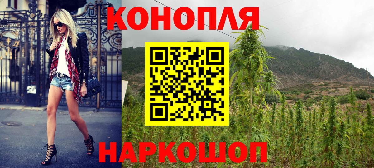 Каннабис план  Шишки марихуана сатива  Конопля сатива  Грозный  Марихуана Bruce Banner  Вход с VPN 